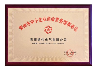 Standing Director Unit of Chamber of Commerce for Small and Medium-sized Enterprises in Qingzhou City 