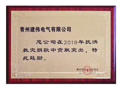 抗洪救灾贡献突出