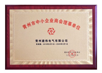 Standing Director Unit of Chamber of Commerce for Small and Medium-sized Enterprises in Qingzhou City 