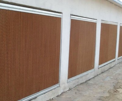 Curing method of wet curtain