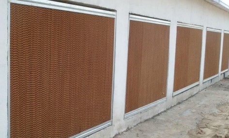 湿帘养护的方法