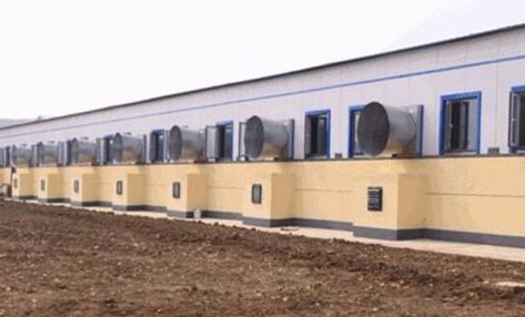 猪舍风机停止工作后的注意事项