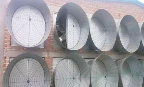 猪舍风机要装喇叭口的原因是什么？