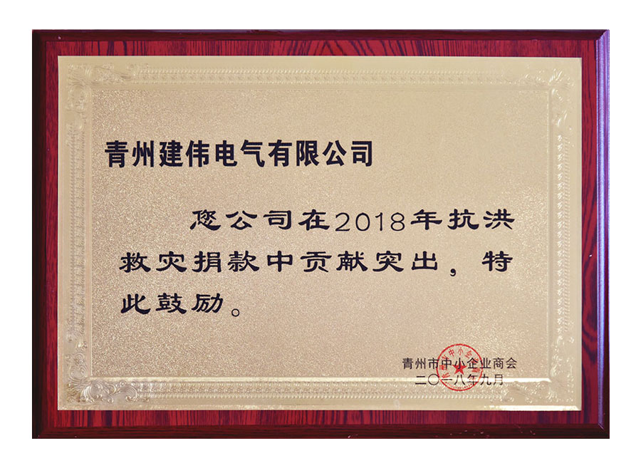 抗洪救灾贡献突出